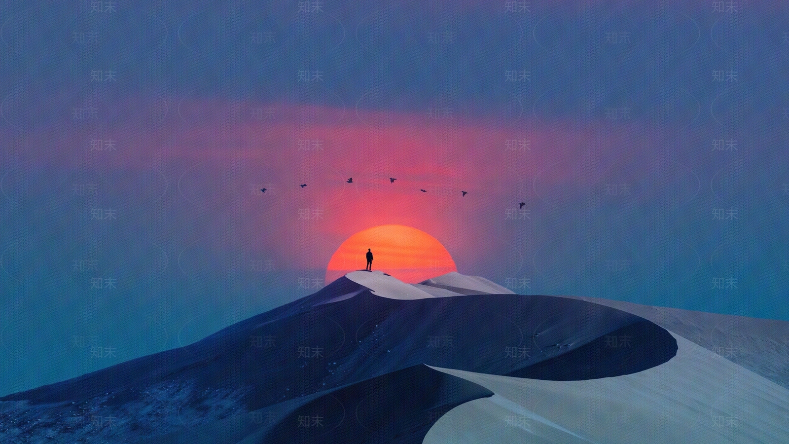 夕阳贴图下载【ID:1158182477】