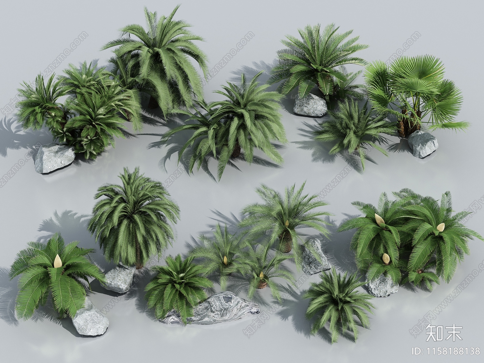 棕榈植物3D模型下载【ID:1158188138】