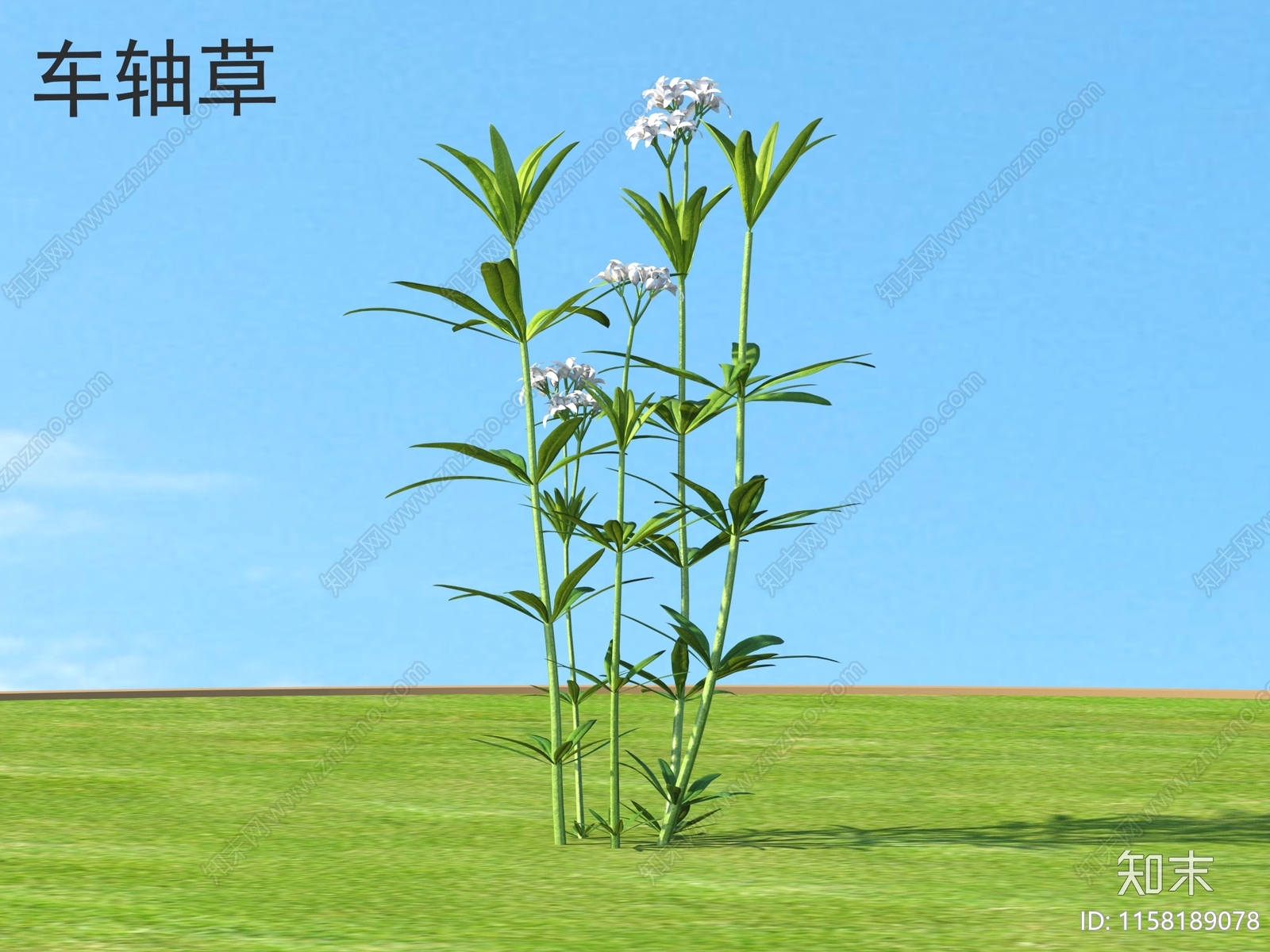 车轴草3D模型下载【ID:1158189078】