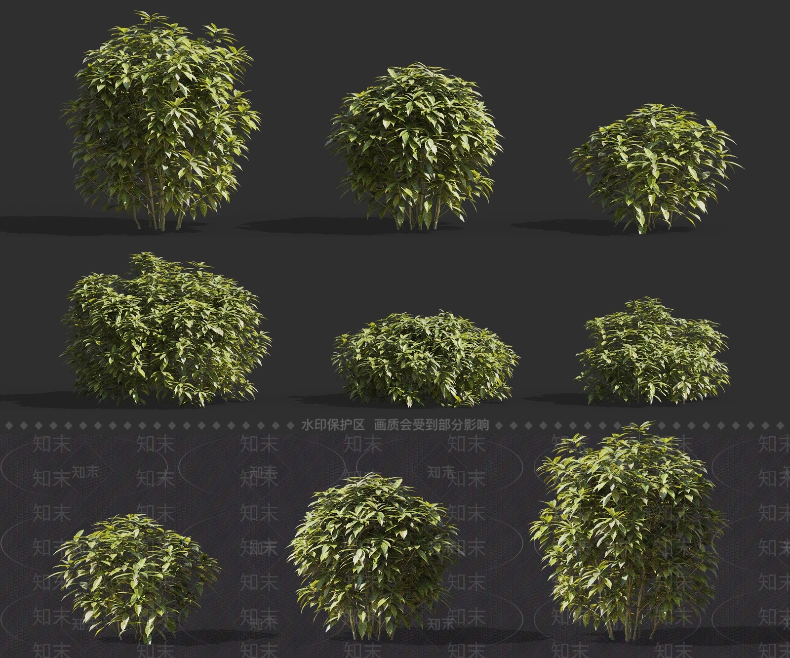 现代花叶青木樱桃樱花桃叶灌木植物组合3D模型下载【ID:1158189722】