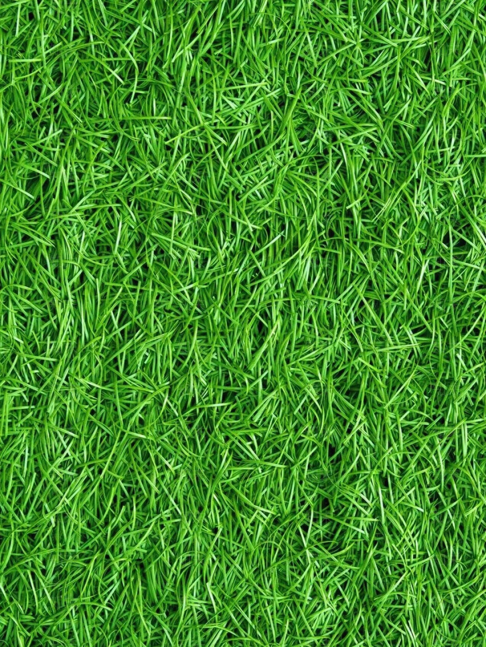 草坪草皮草地贴图下载【ID:1158216737】
