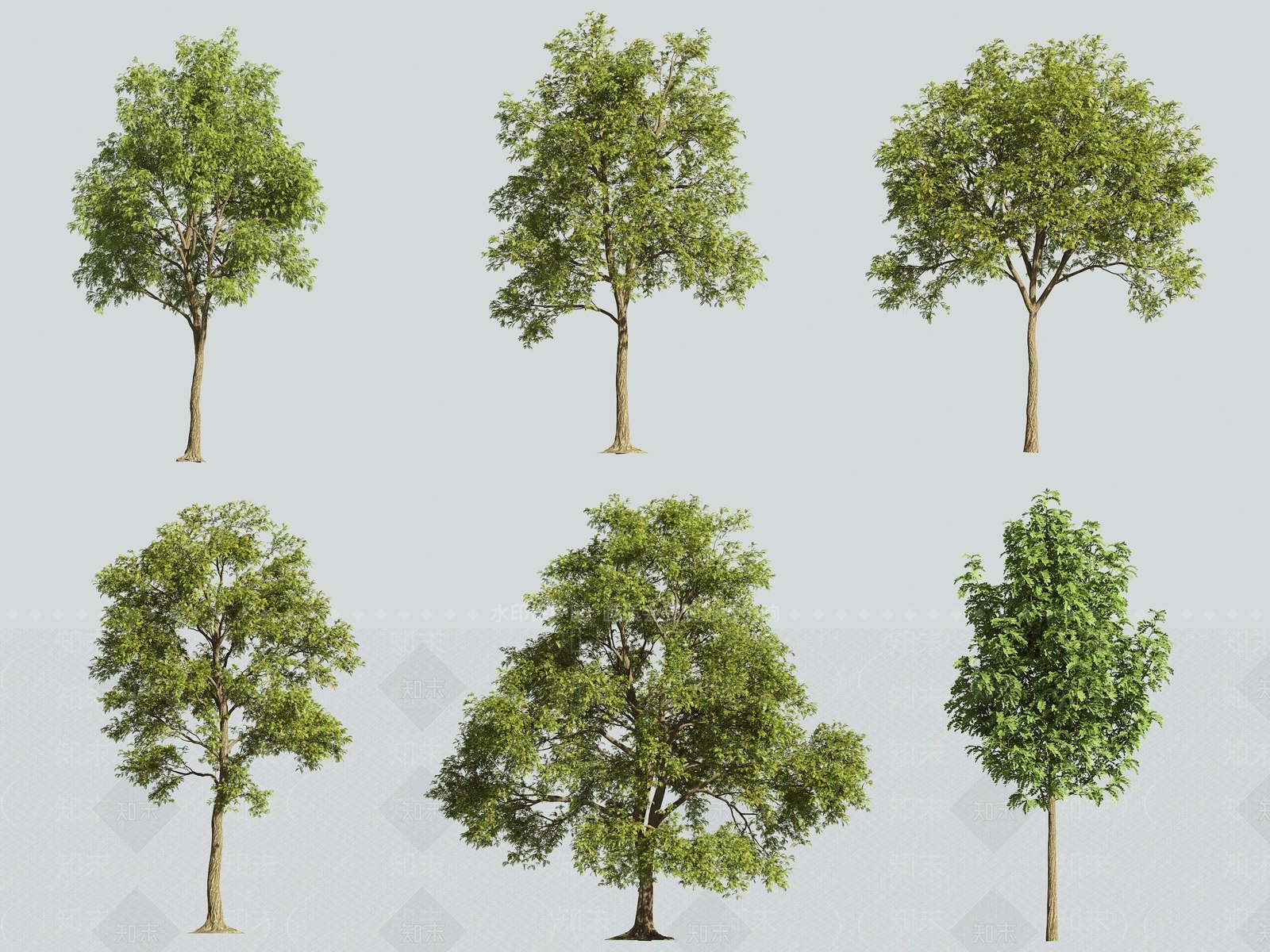 乔木3D模型下载【ID:1158241382】