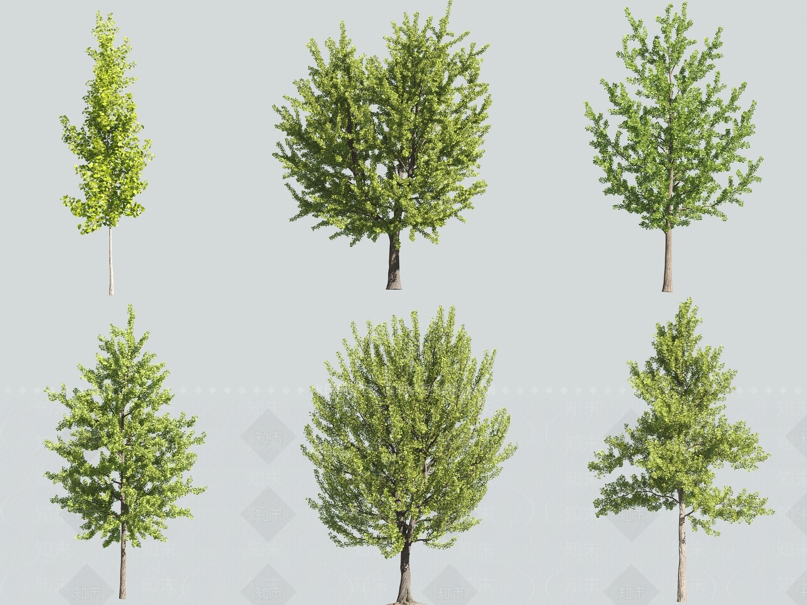 乔木3D模型下载【ID:1158247997】