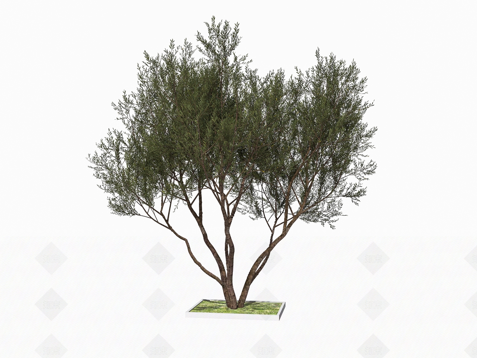 乔木3D模型下载【ID:1158251038】