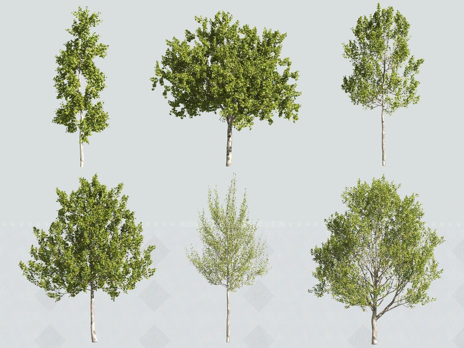乔木3D模型下载【ID:1158262563】