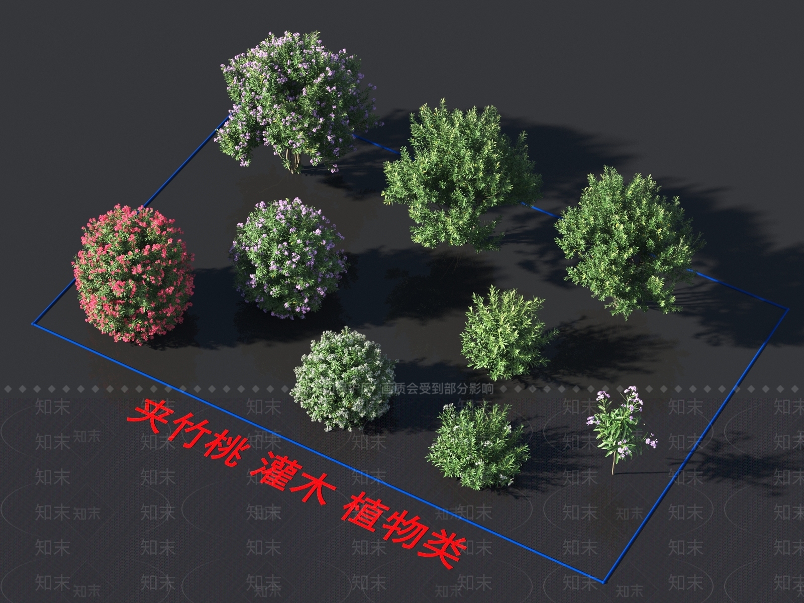 夹竹桃3D模型下载【ID:1158272338】