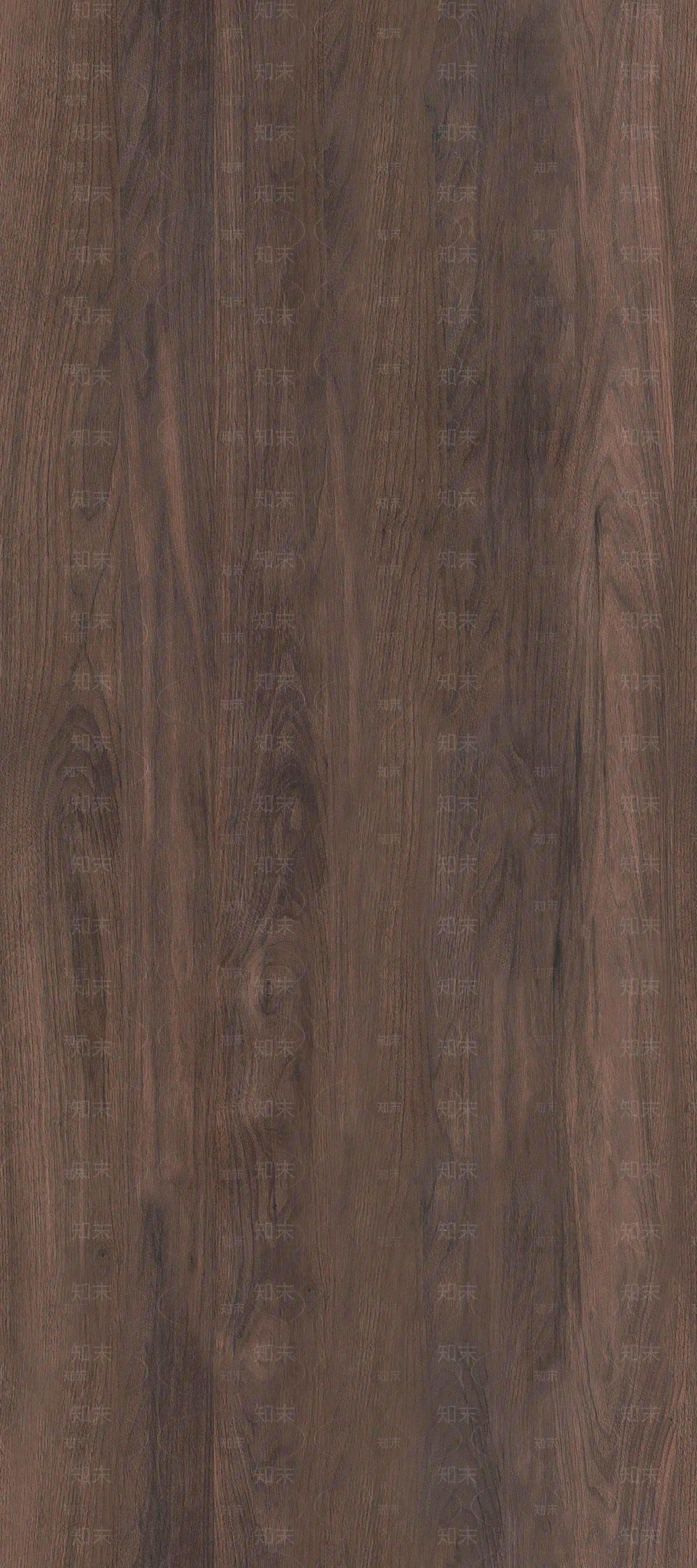 北美黑胡桃木纹贴图下载【ID:1158275044】