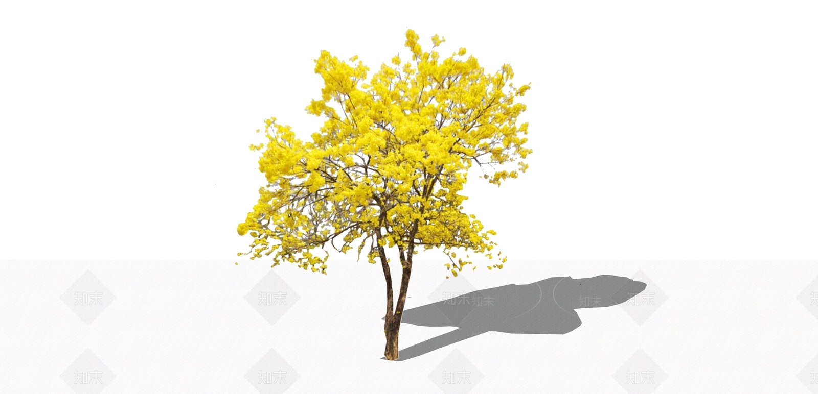 2D黄花风铃木SU模型下载【ID:1158290115】