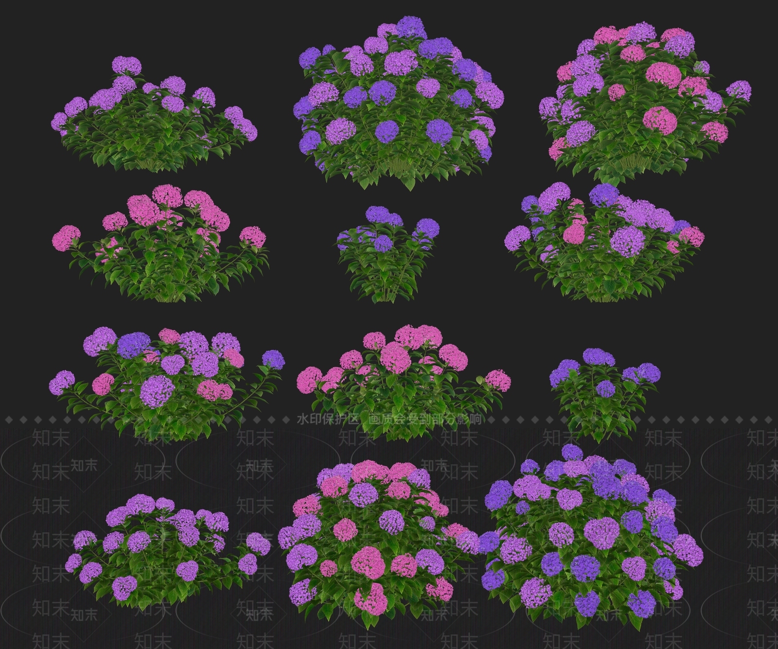 绣球花八仙花灌木花卉SU模型下载【ID:1158295851】