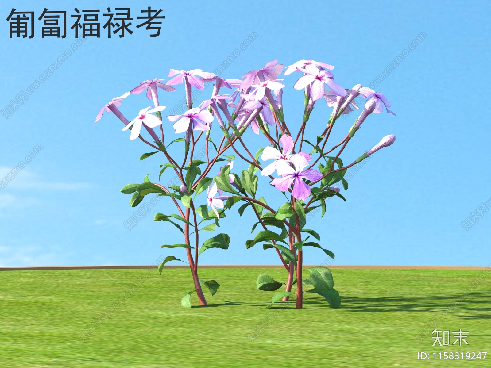 匍匐福禄考3D模型下载【ID:1158319247】