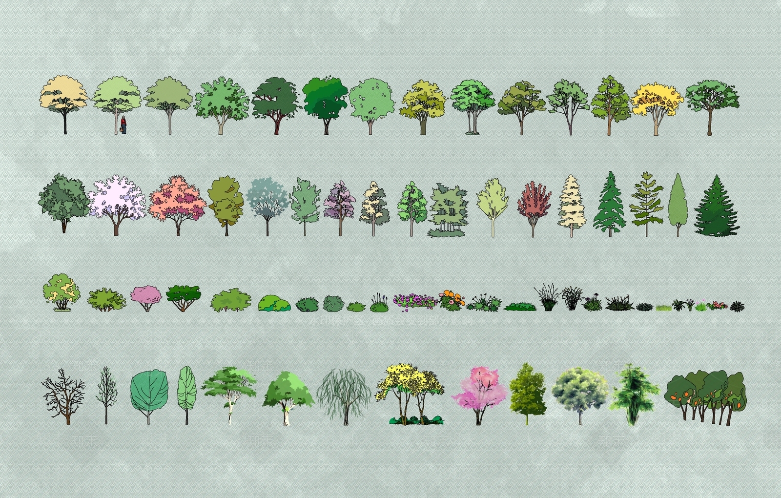 2D手绘速写风植物合集SU模型下载【ID:1158322393】