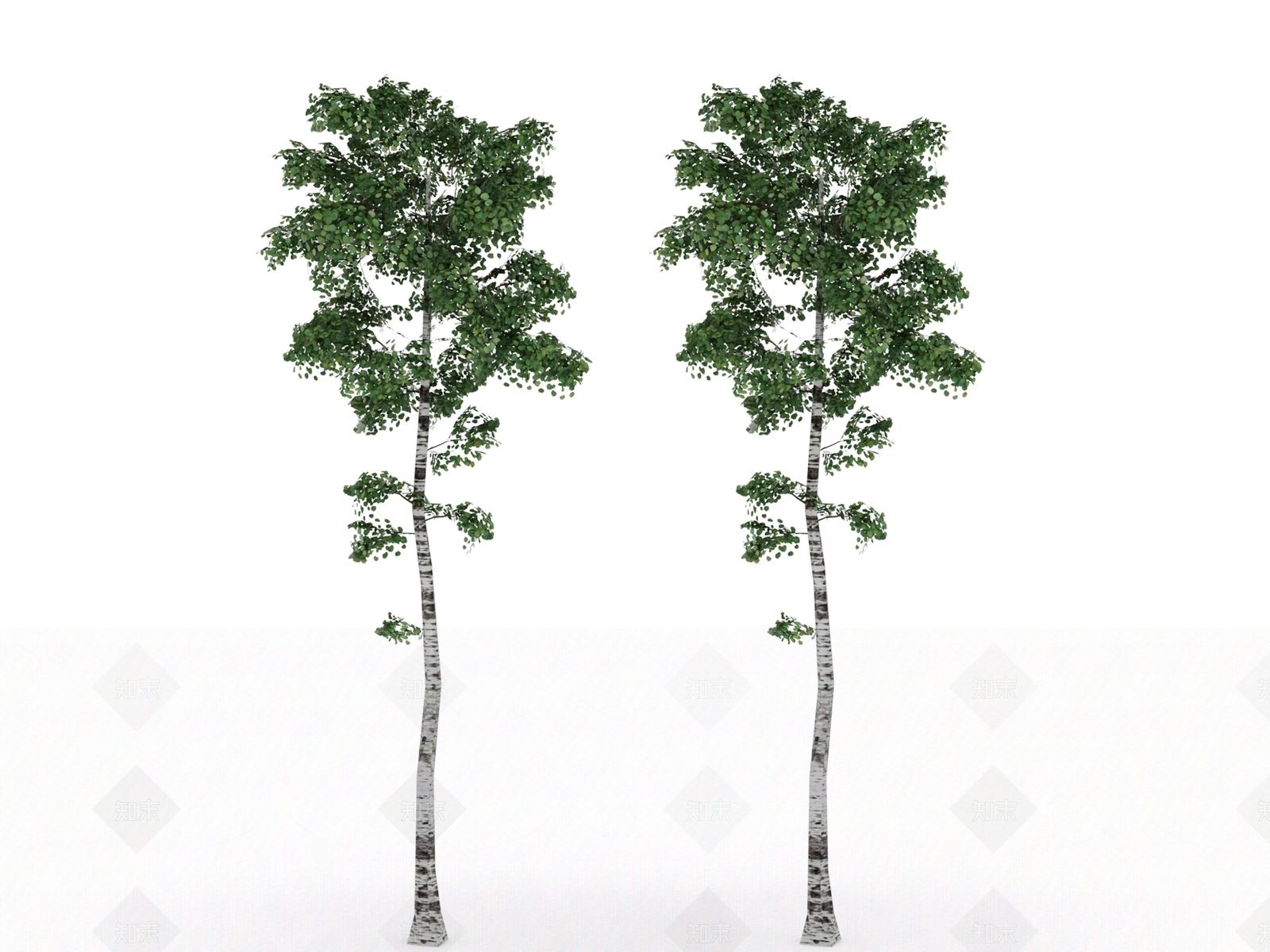 绿色植物3D模型下载【ID:1158326495】
