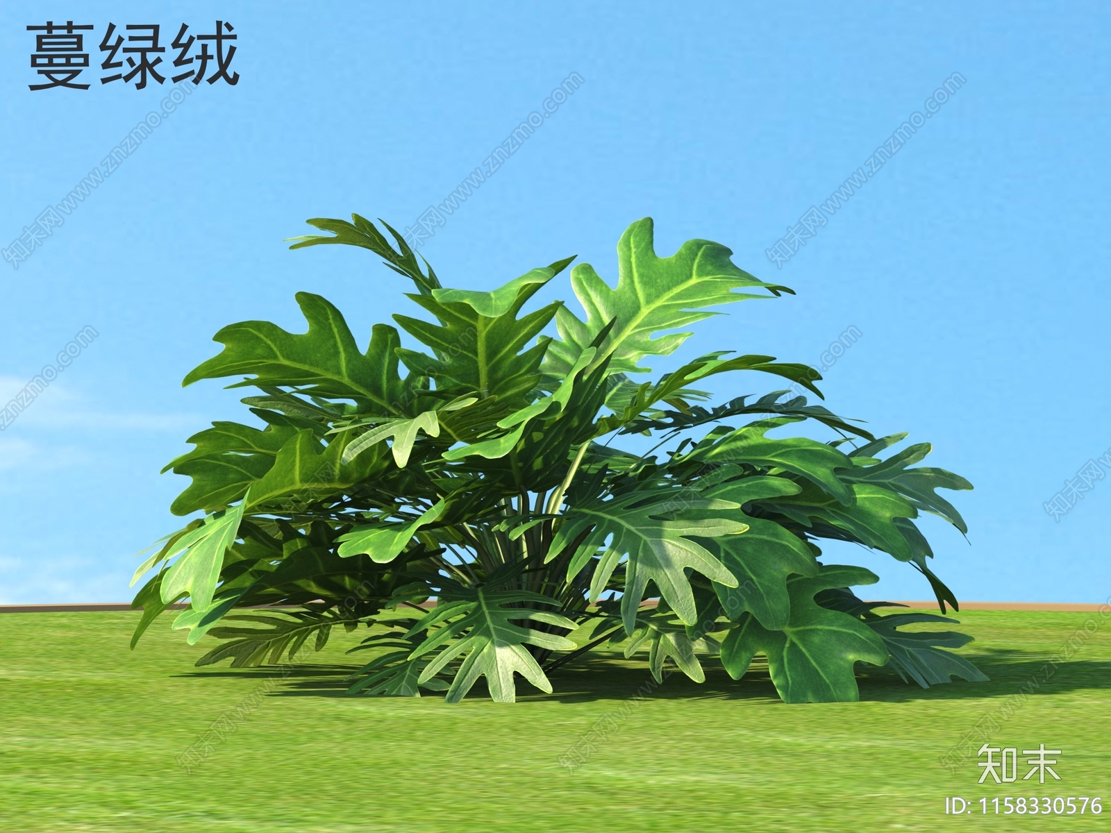 蔓绿绒3D模型下载【ID:1158330576】