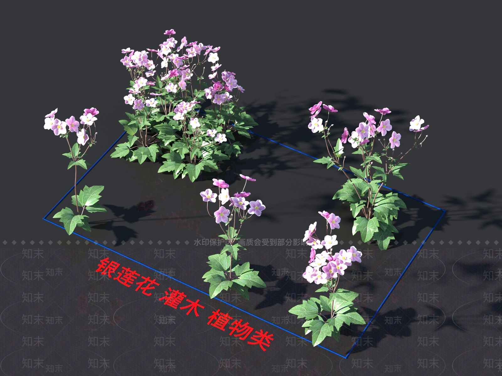 银莲花3D模型下载【ID:1158358733】