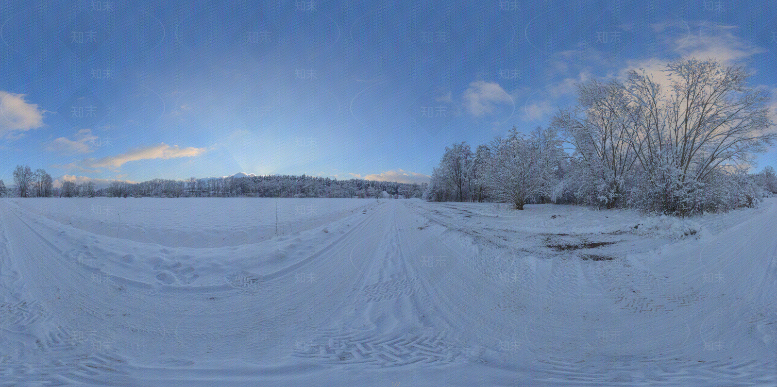 晴天雪景HDR贴图下载【ID:1158375618】