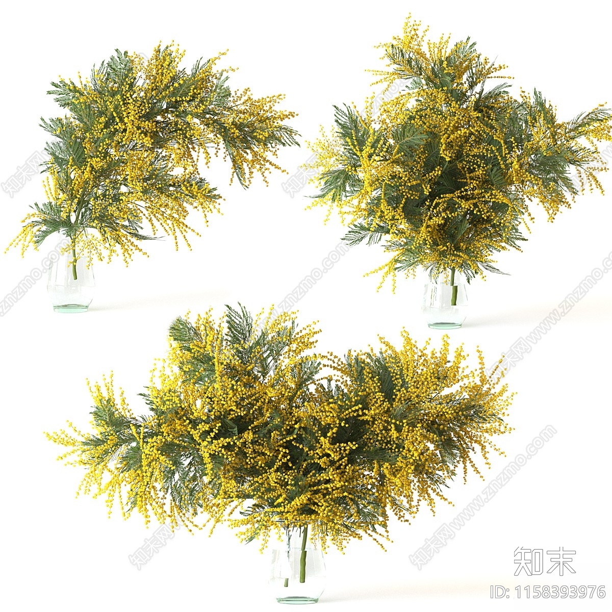 含羞草3D模型下载【ID:1158393976】