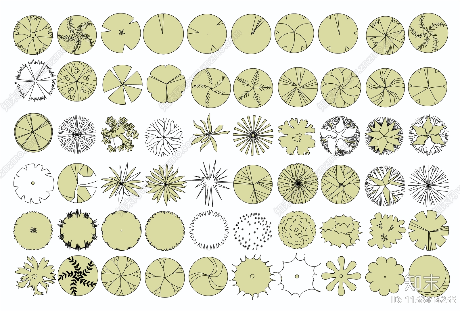 精品植物图库5cad施工图下载【ID:1158414255】