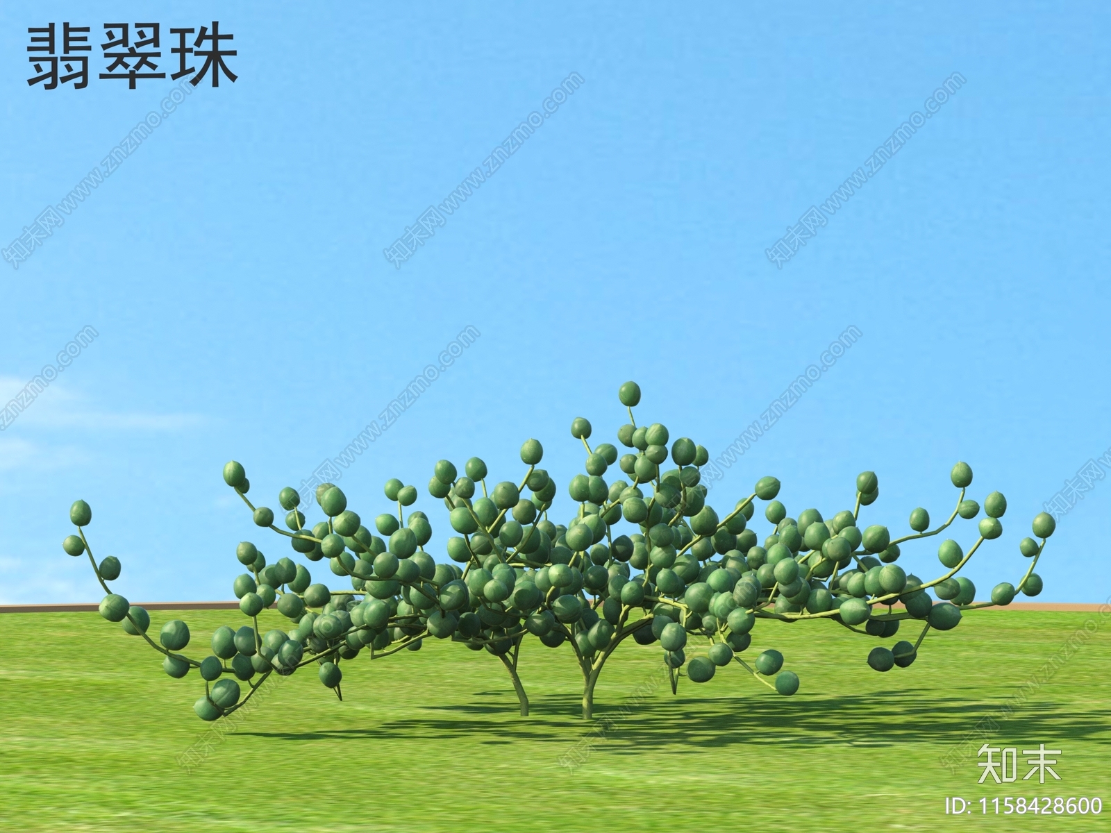 翡翠珠3D模型下载【ID:1158428600】