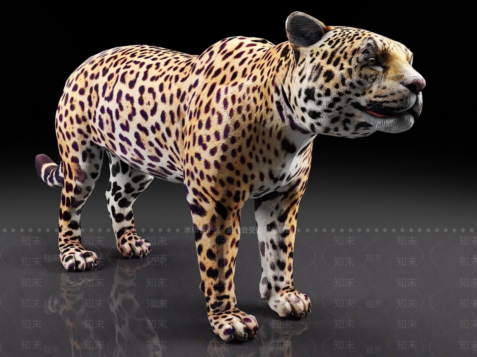 美洲虎3D模型下载【ID:1158430882】