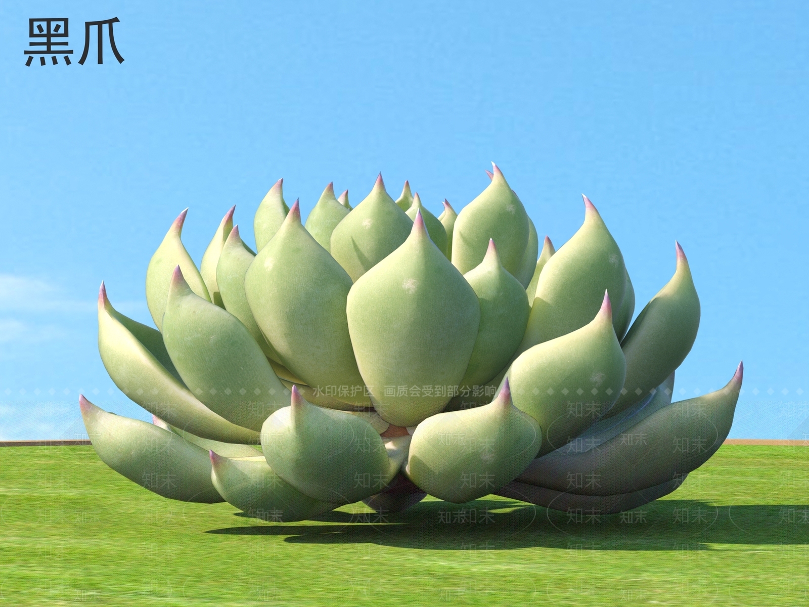黑爪3D模型下载【ID:1158433977】