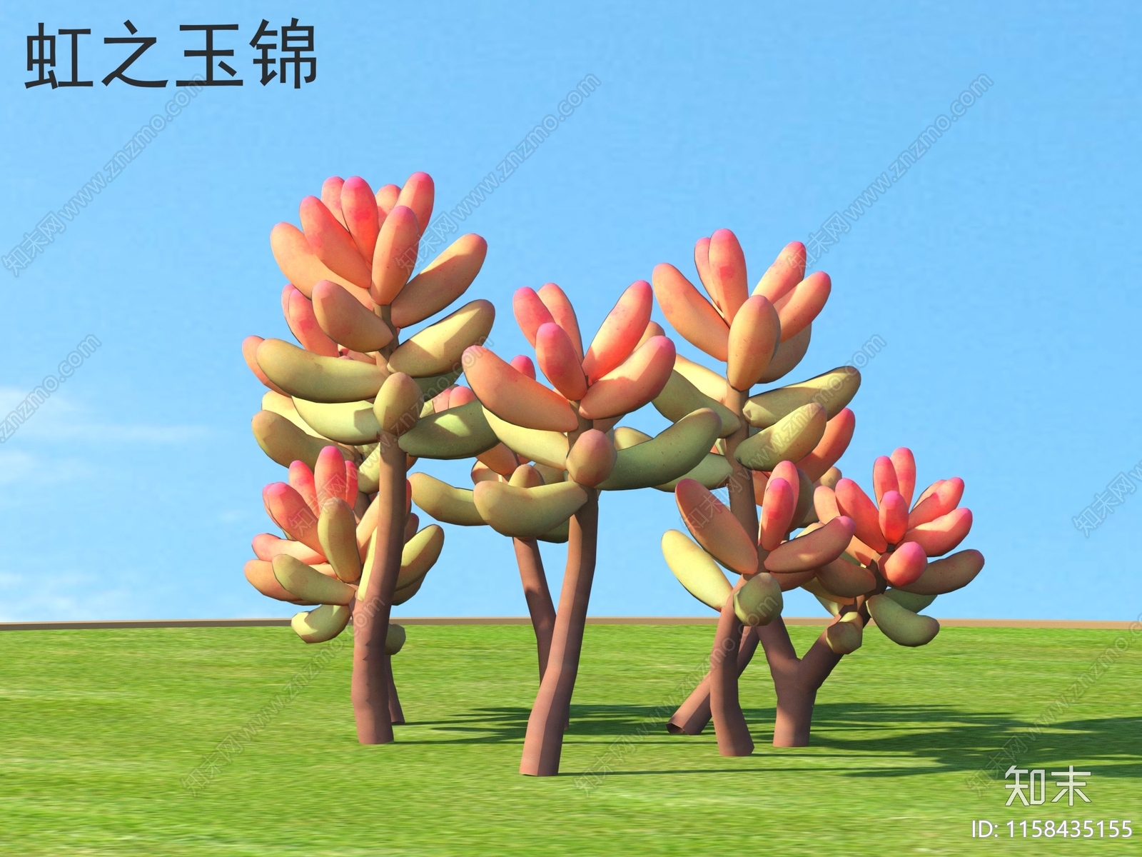 虹之玉锦3D模型下载【ID:1158435155】