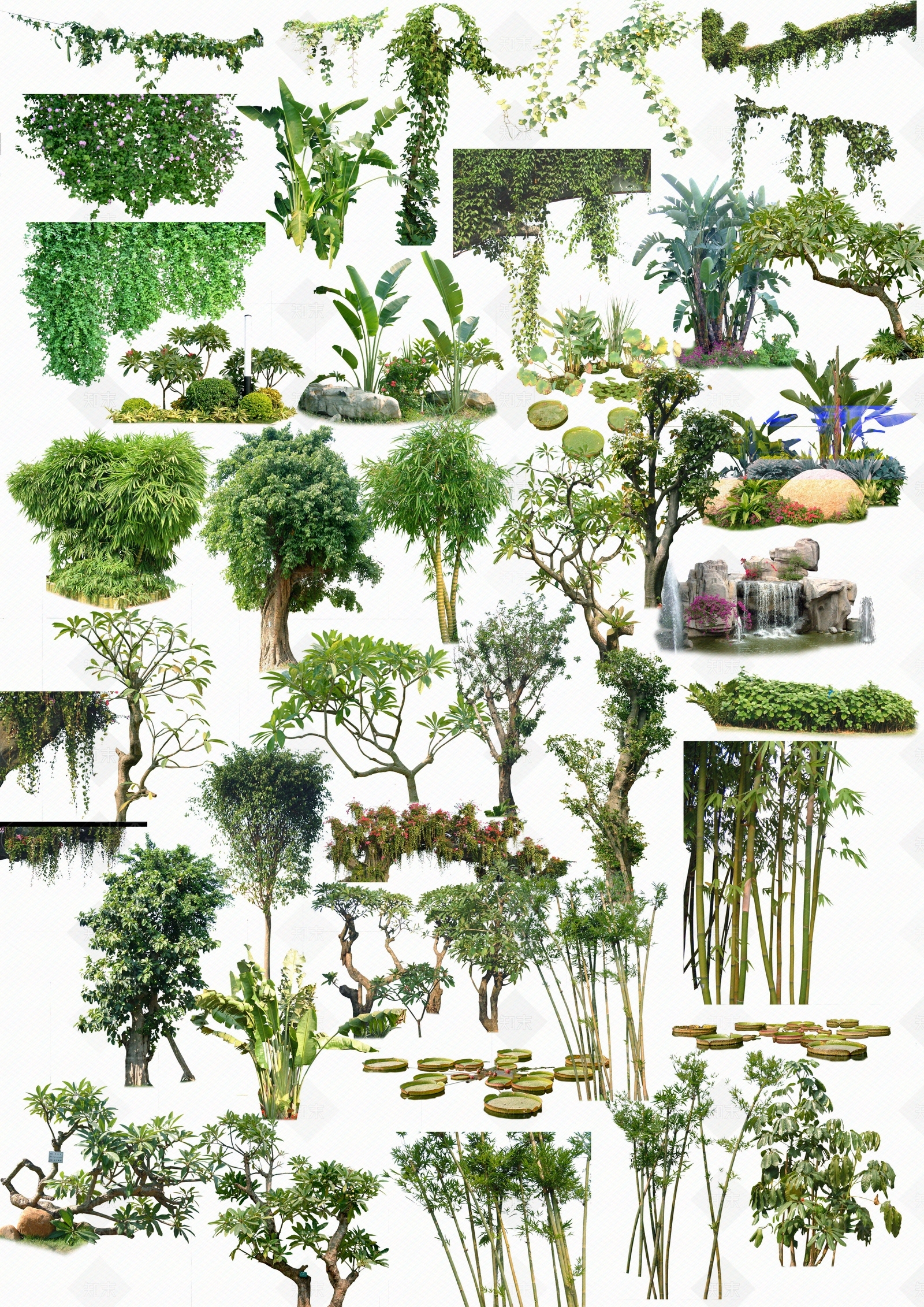 常用树贴图下载【ID:1158466087】