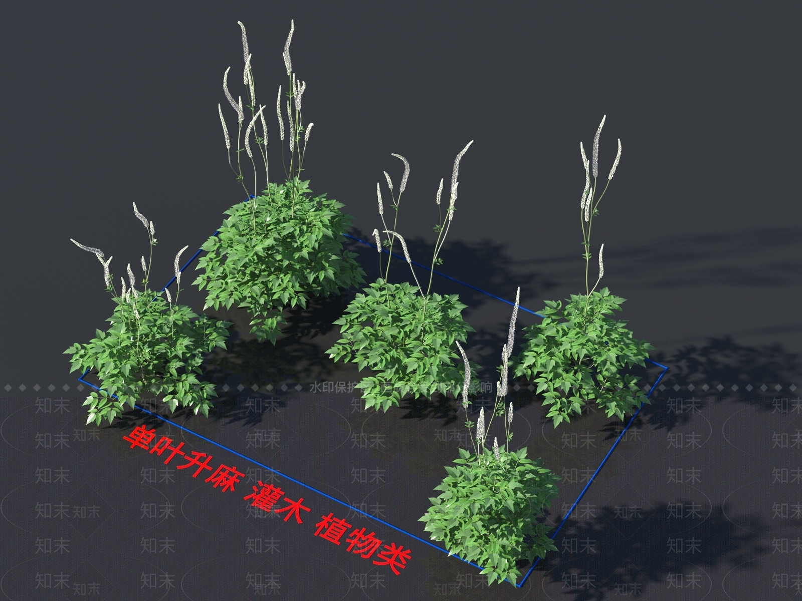 单叶升麻3D模型下载【ID:1158500486】