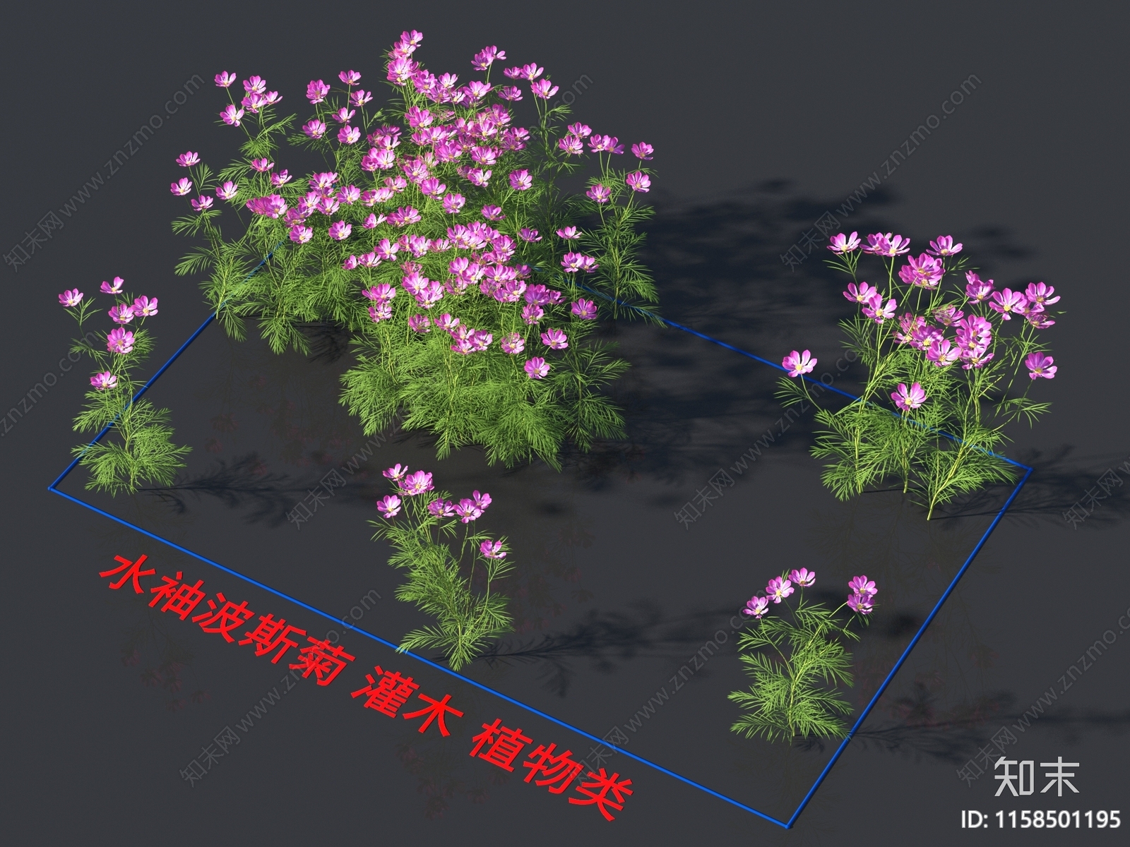 水袖波斯菊3D模型下载【ID:1158501195】