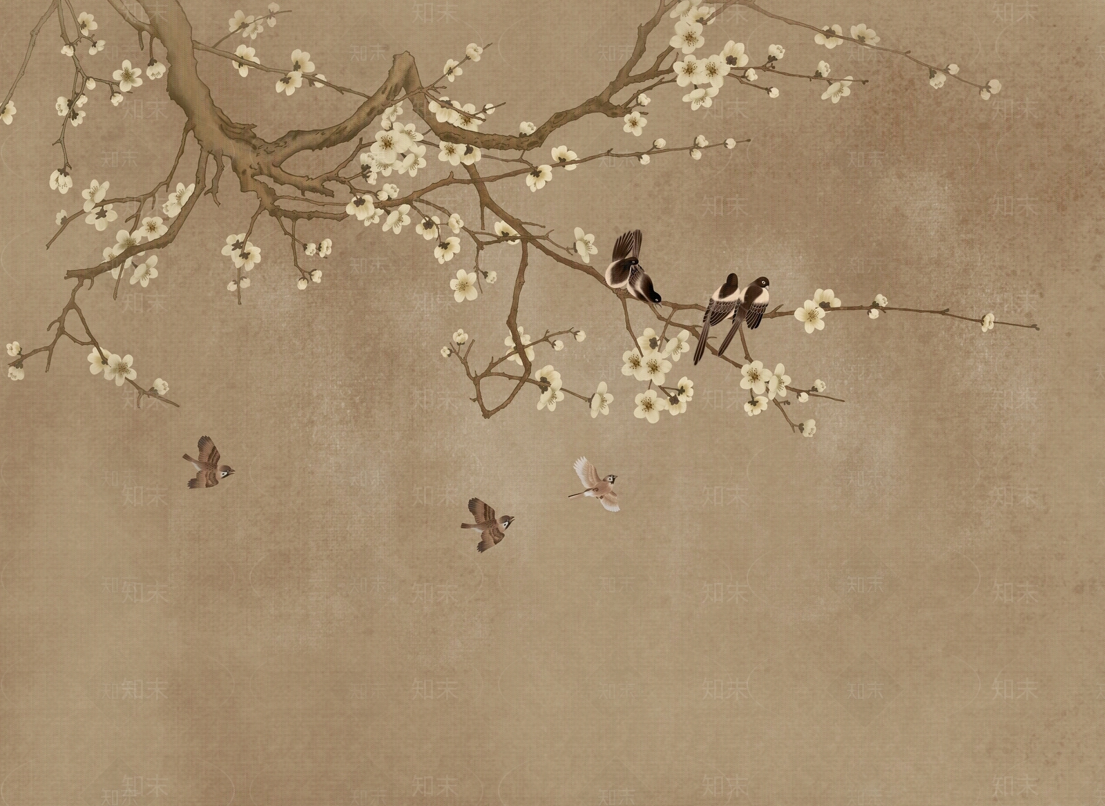 花鸟壁纸高清贴图材质