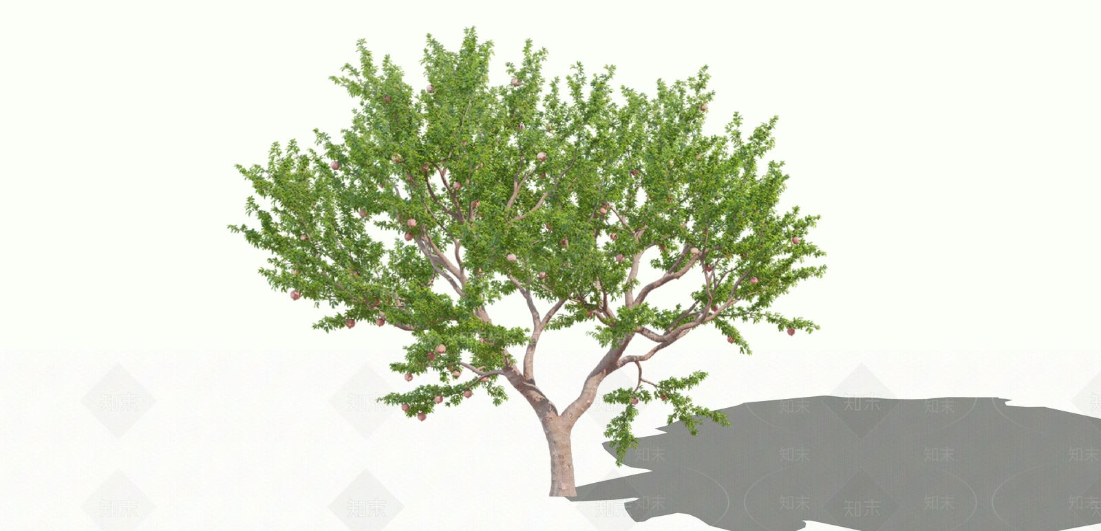 2D石榴树SU模型下载【ID:1158560634】