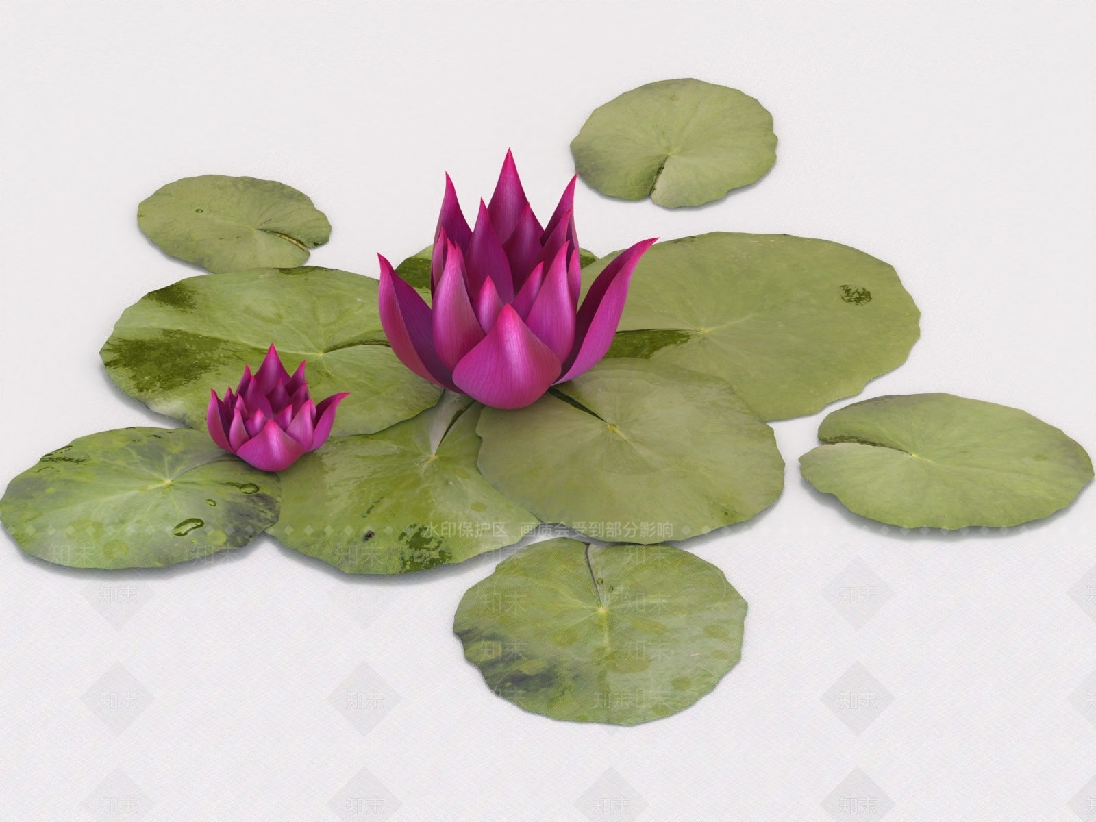 荷叶3D模型下载【ID:1158565017】