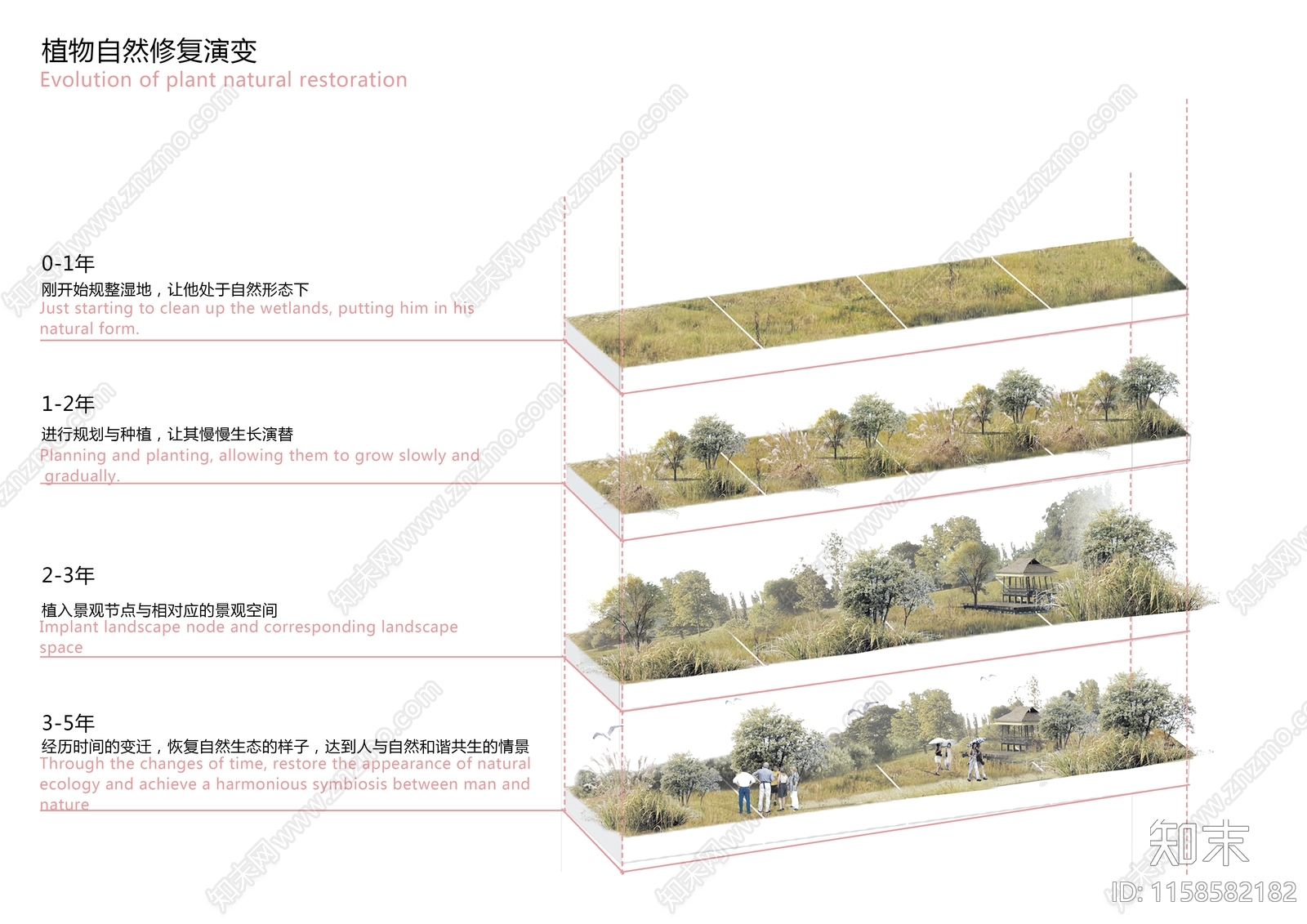 植物分析图设计素材精品下载_知末网