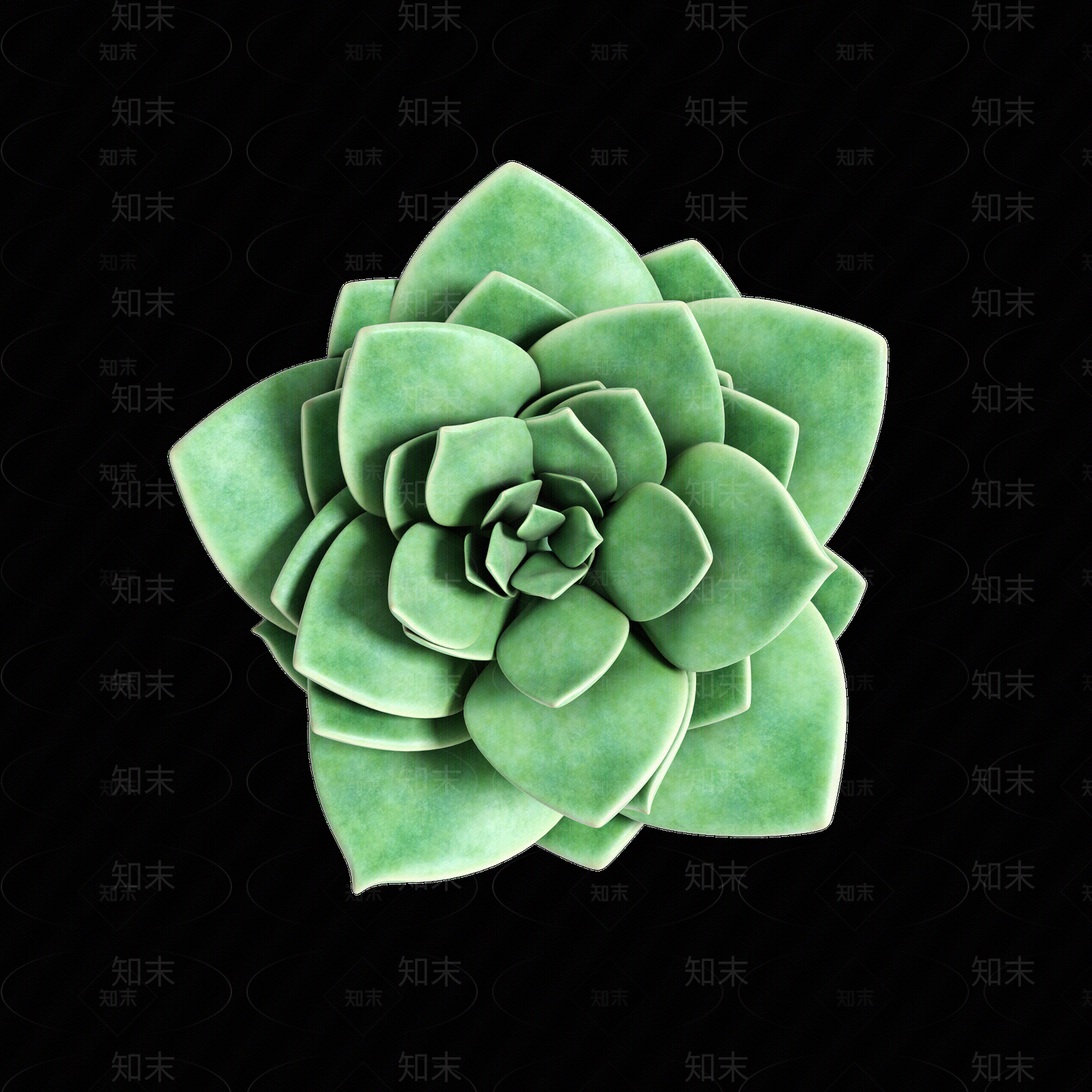 png免抠多肉贴图下载【ID:1158602368】