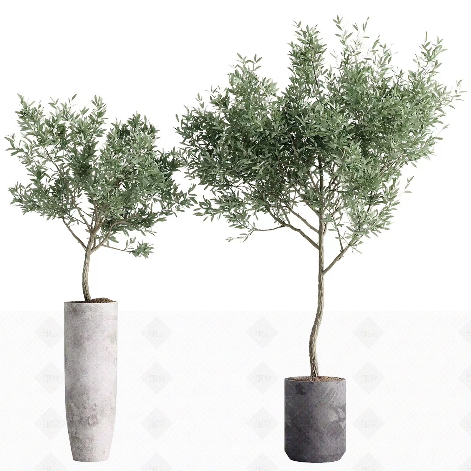 室内植物盆栽3D模型下载【ID:1158609175】