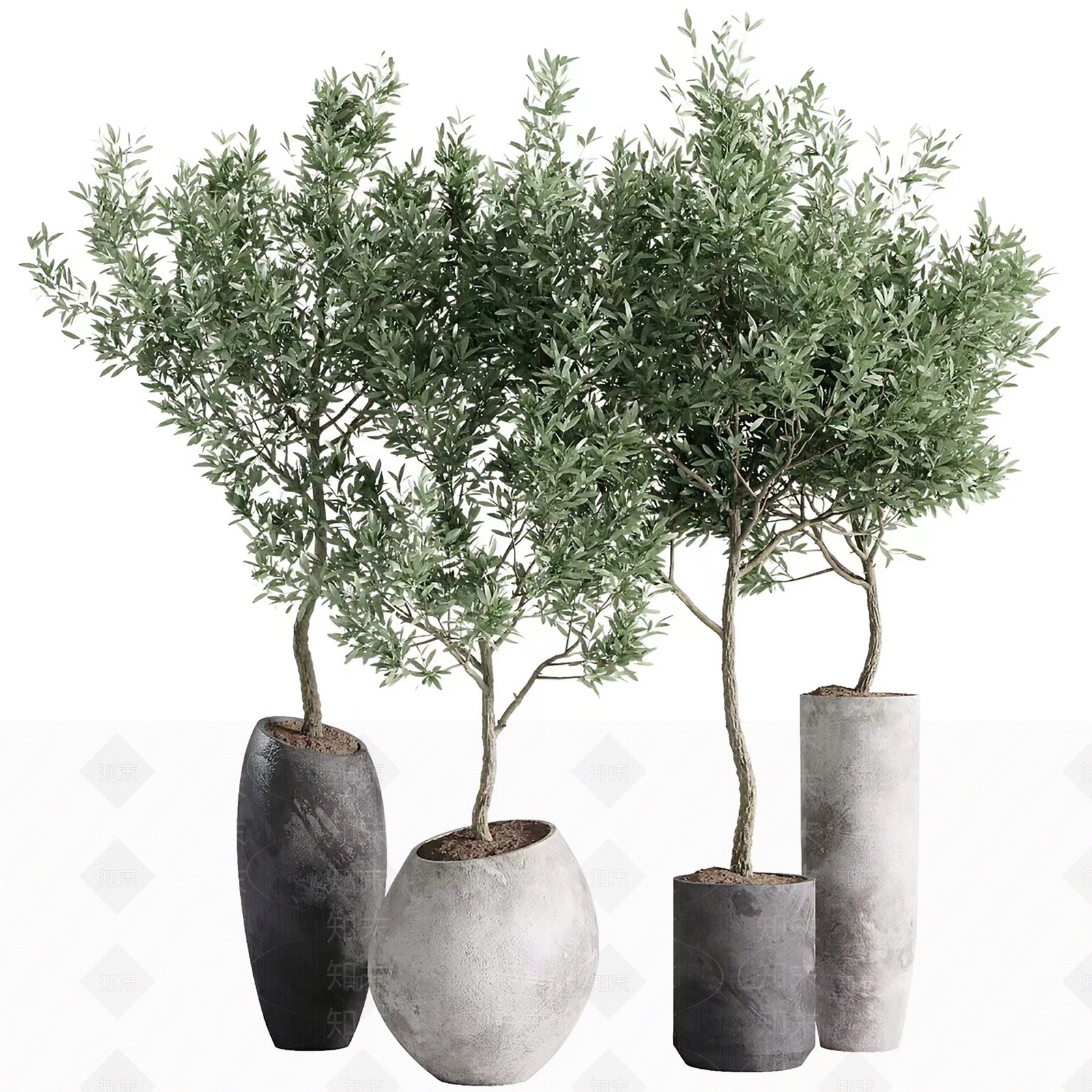 室内植物盆栽3D模型下载【ID:1158609175】