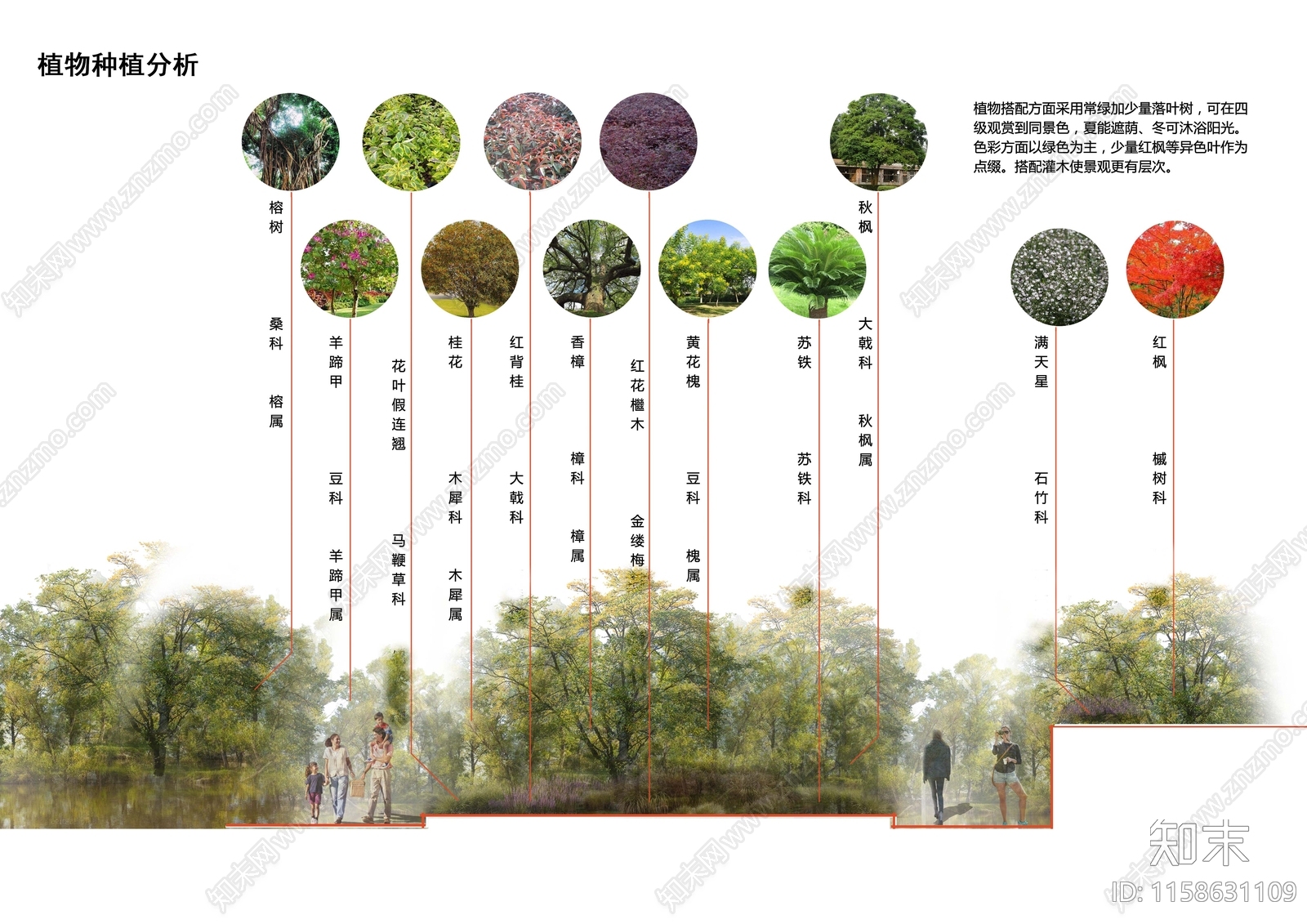 植物分析图设计素材精品下载_知末网