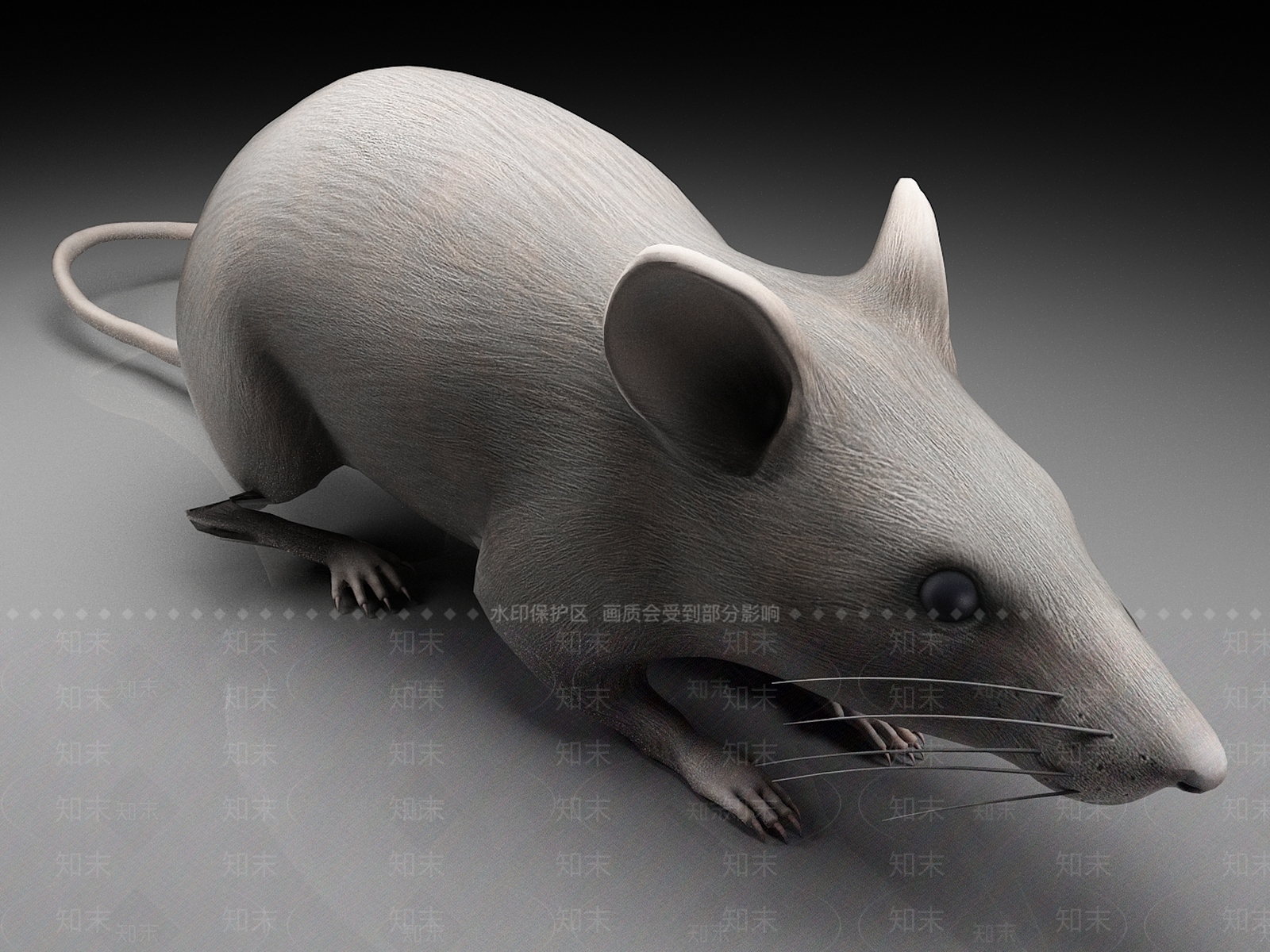 老鼠3D模型下载【ID:1158686326】