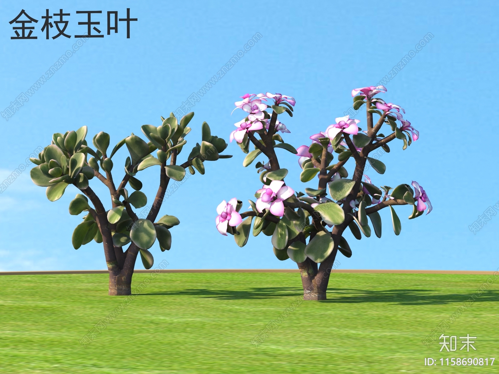 金枝玉叶3D模型下载【ID:1158690817】