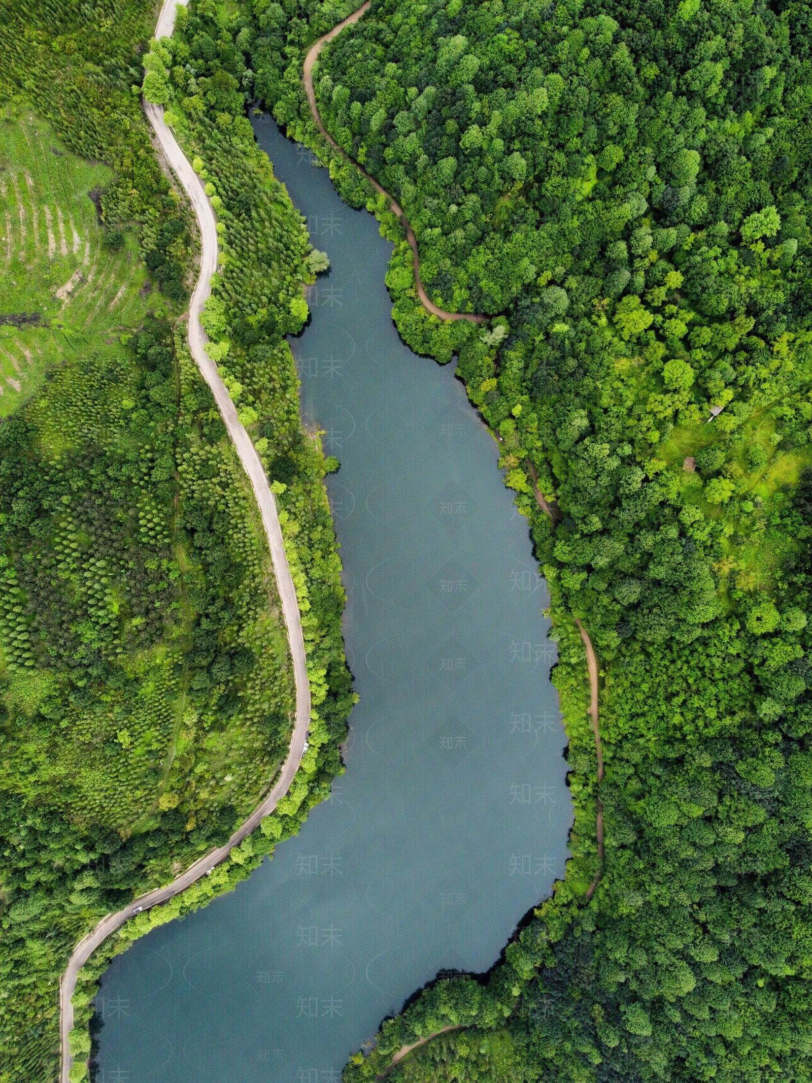 鸟瞰树丛中心湖树群植物贴图下载【ID:1158707680】