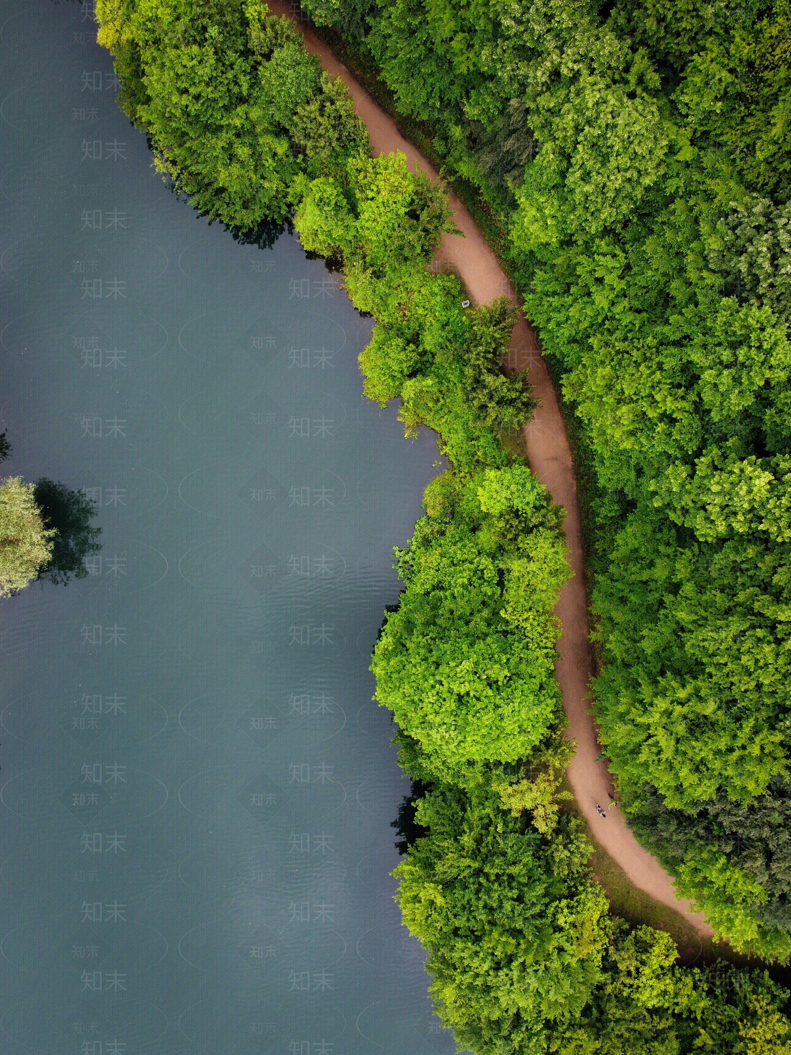 鸟瞰树丛树群植物植被海面贴图下载【ID:1158707993】
