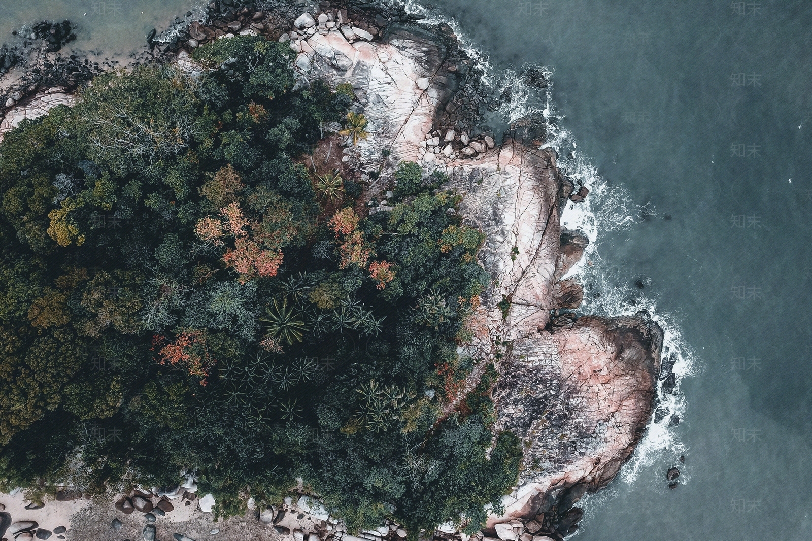 鸟瞰树丛树群植物植被海岸线海滩贴图下载【ID:1158708635】
