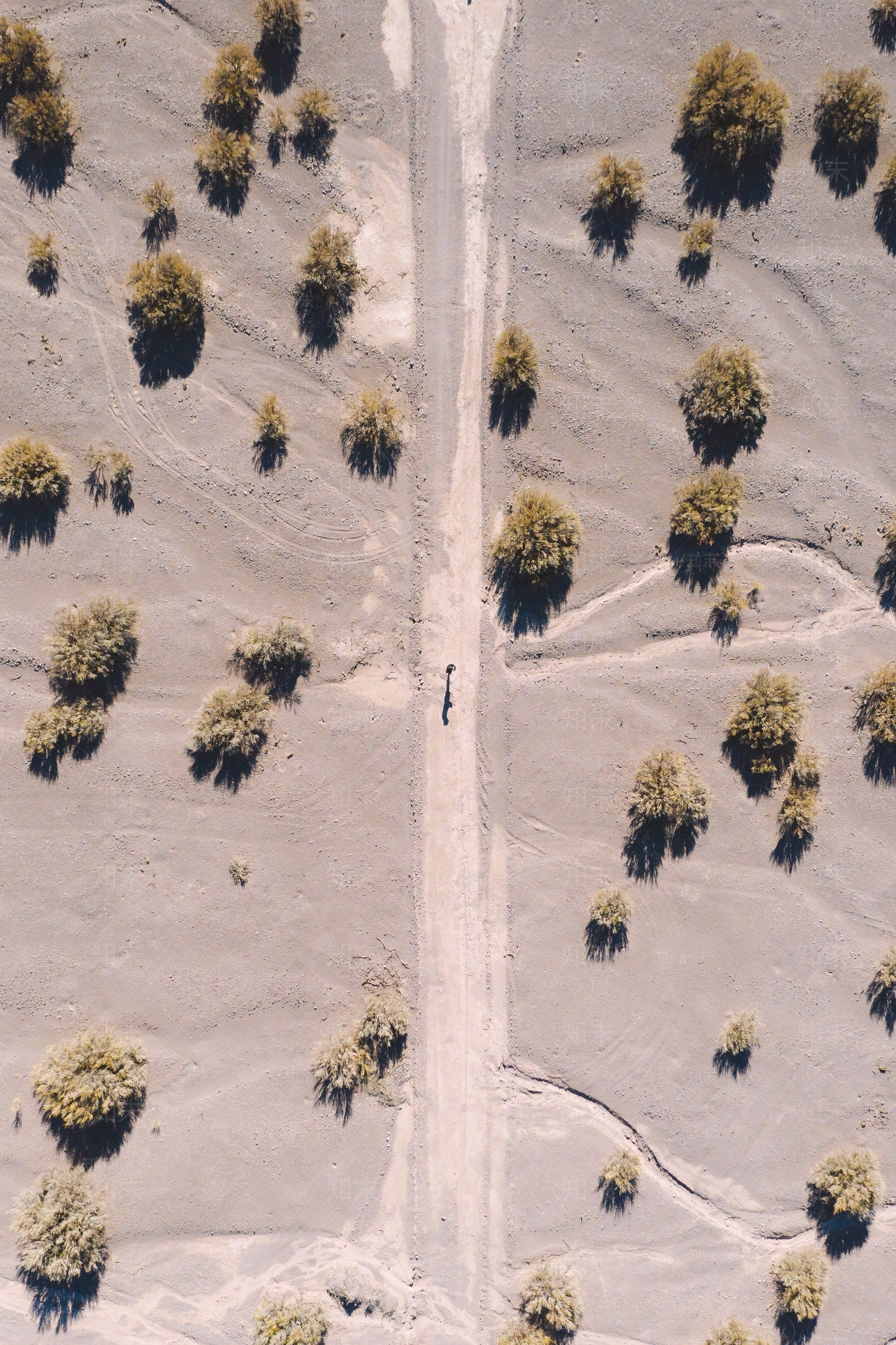 鸟瞰树丛树群植物植被沙漠贴图下载【ID:1158708897】