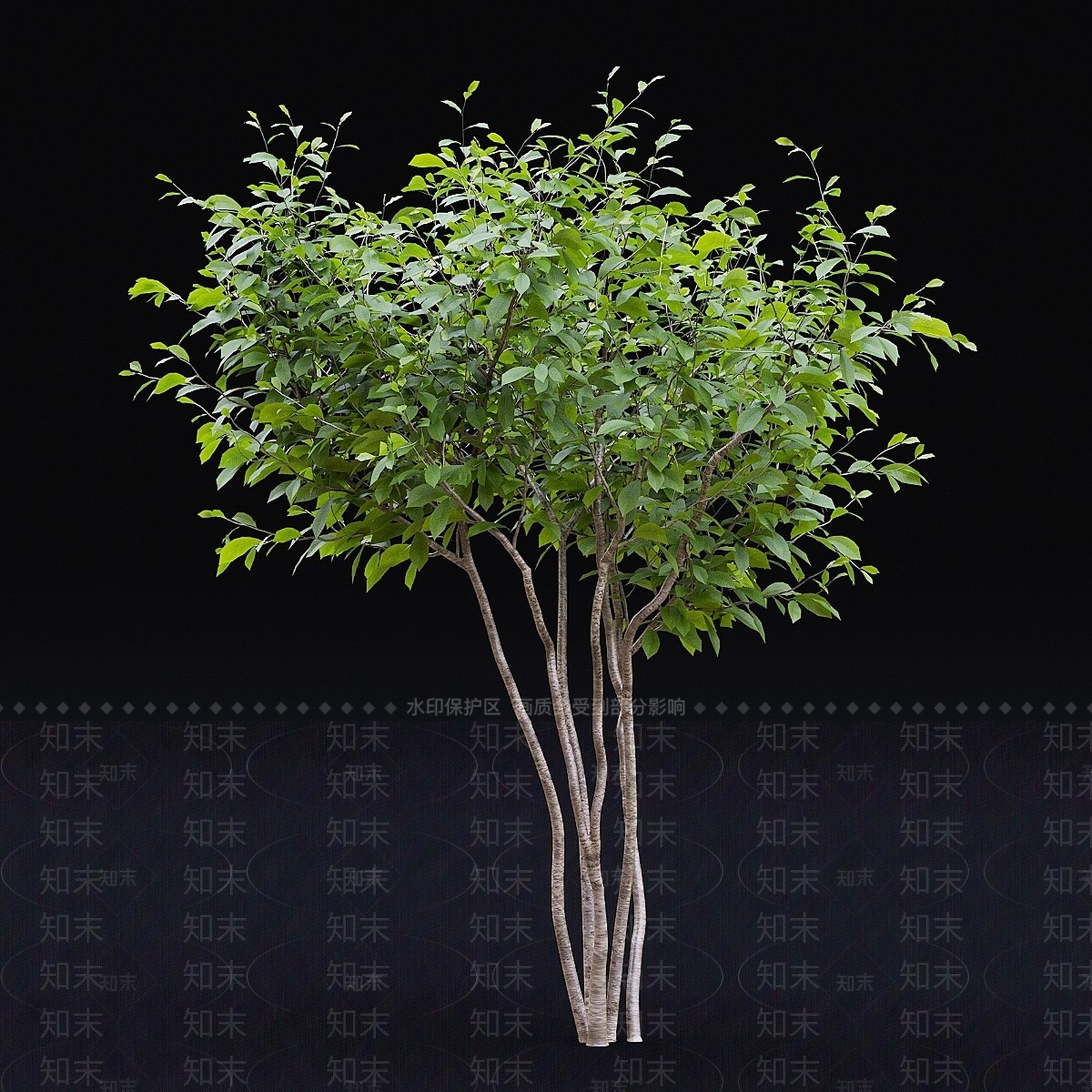 景观树3D模型下载【ID:1158738381】