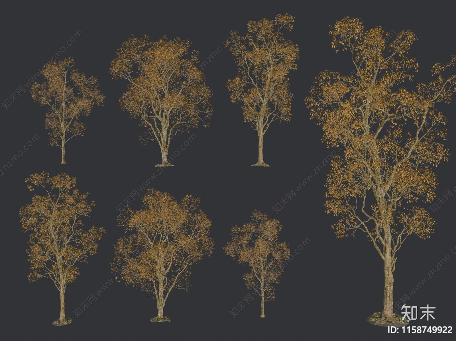 秋季黄果朴树乔木植物组合SU模型下载【ID:1158749922】