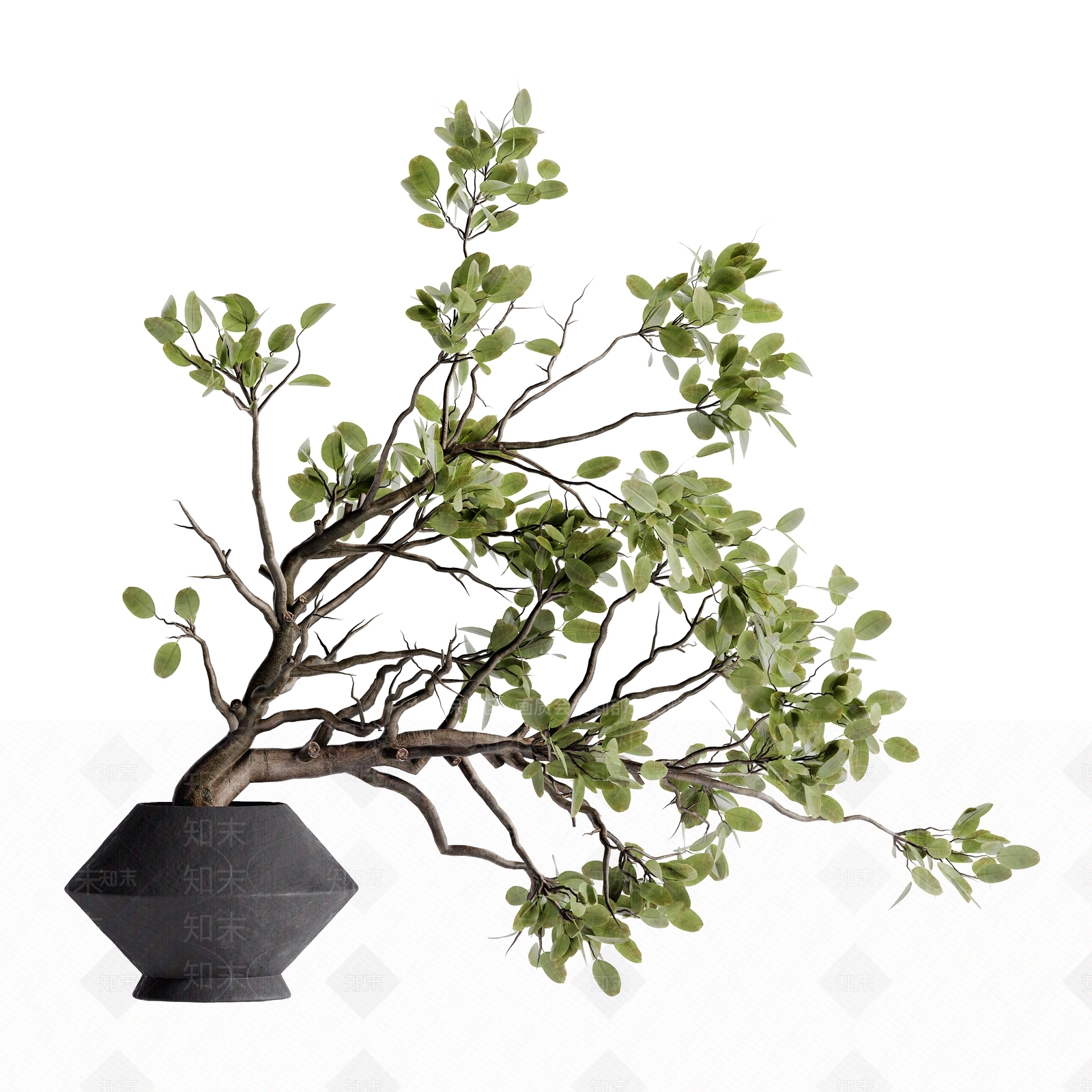 盆栽3D模型渲染效果图