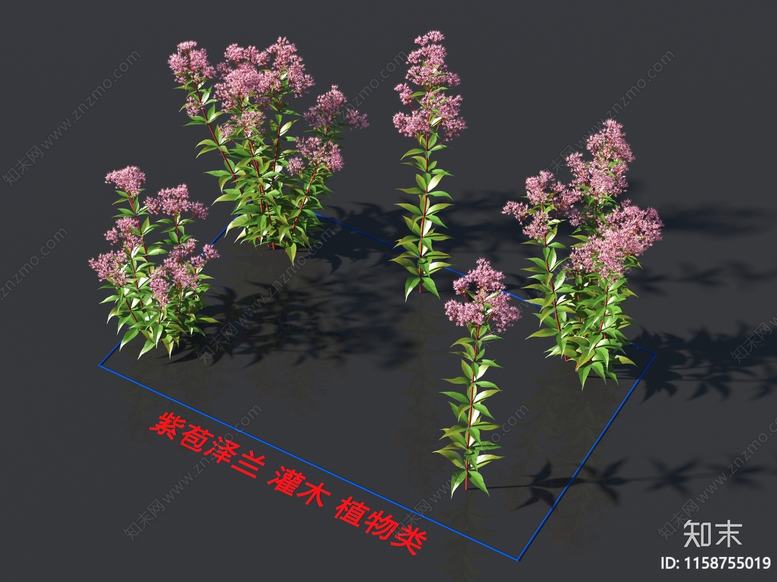 花3D模型下载【ID:1158755019】