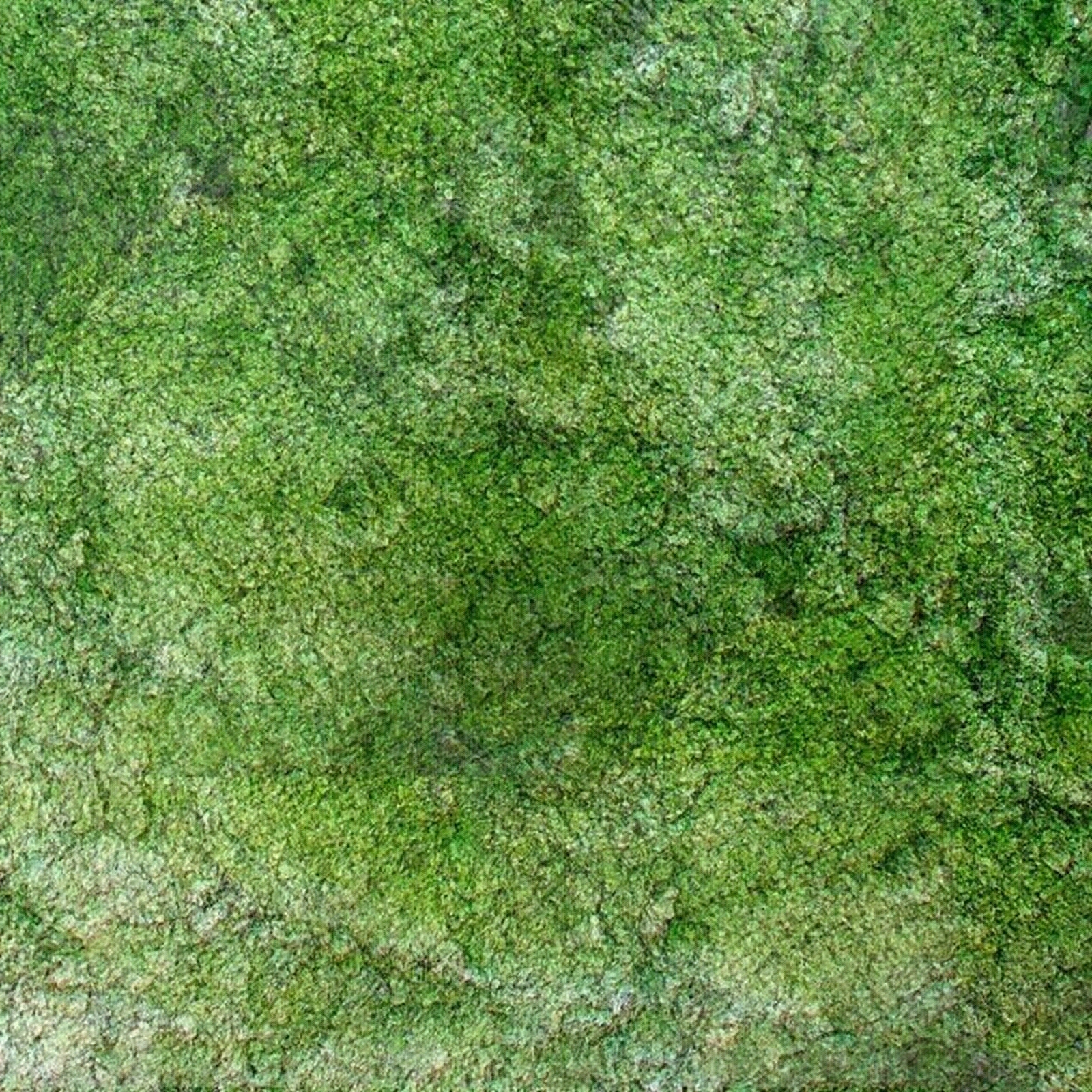 草地草坪苔藓贴图下载【ID:1158758032】