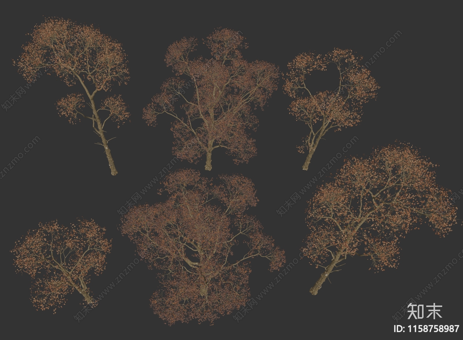 乌桕树木红叶乔木树木植物SU模型下载【ID:1158758987】