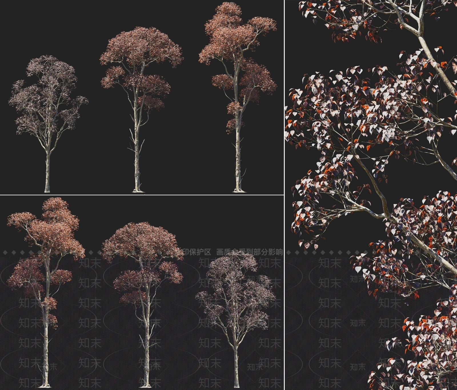 现代乌桕树木红叶乔木树木植物3D模型下载【ID:1158759612】
