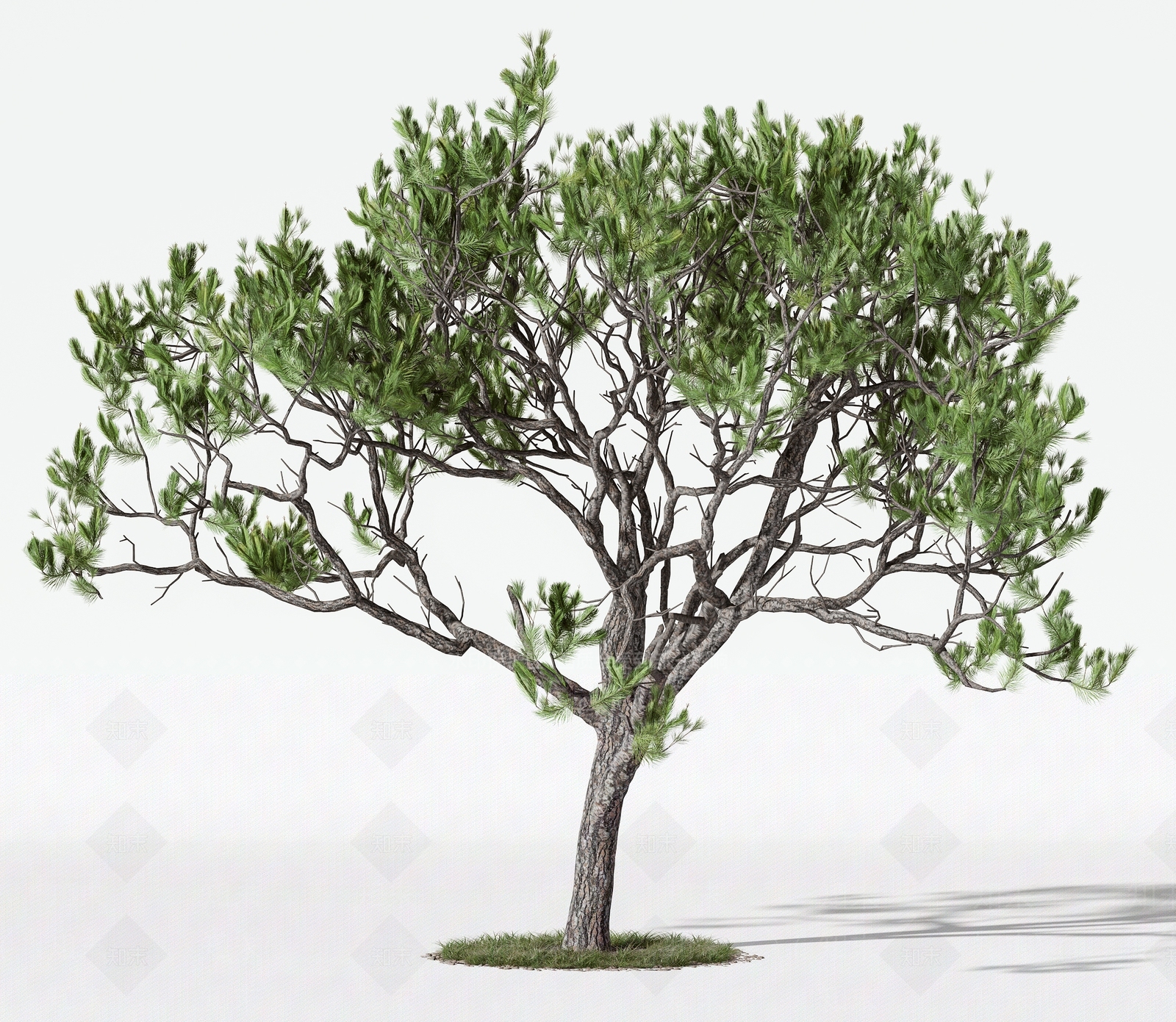 现代树木3D模型下载【ID:1158773495】